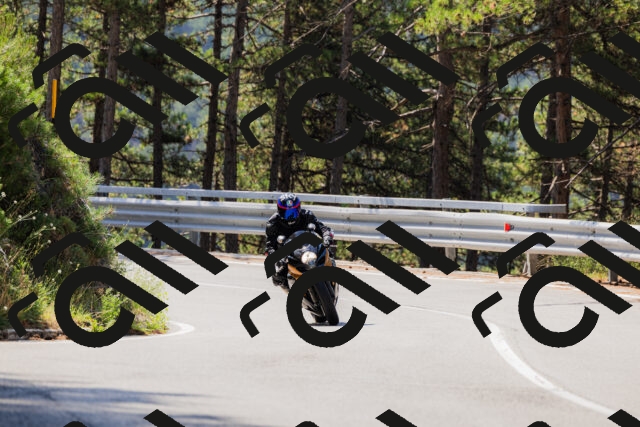 202508171102-_04A2388_c3