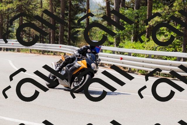 202508171102-_04A2393_c3