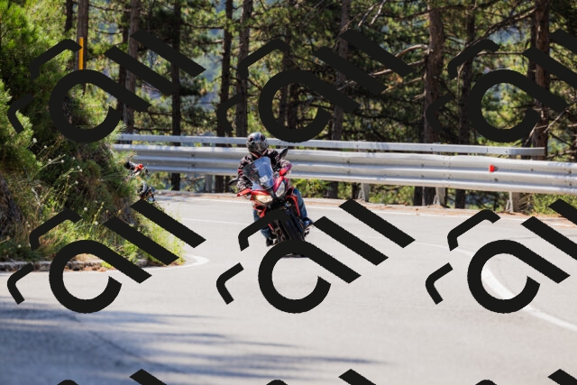 202508171102-_04A2397_c3