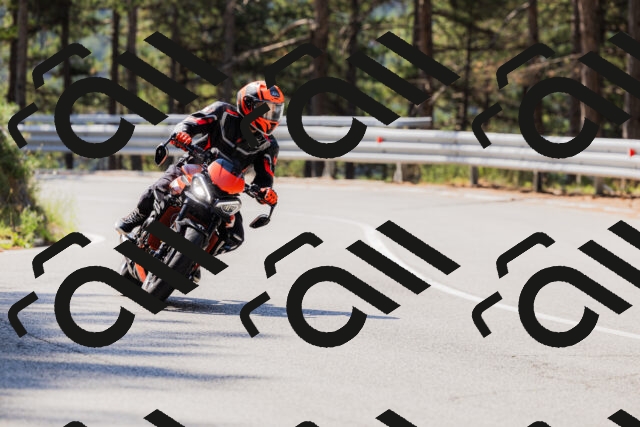 202508171102-_04A2401_c3