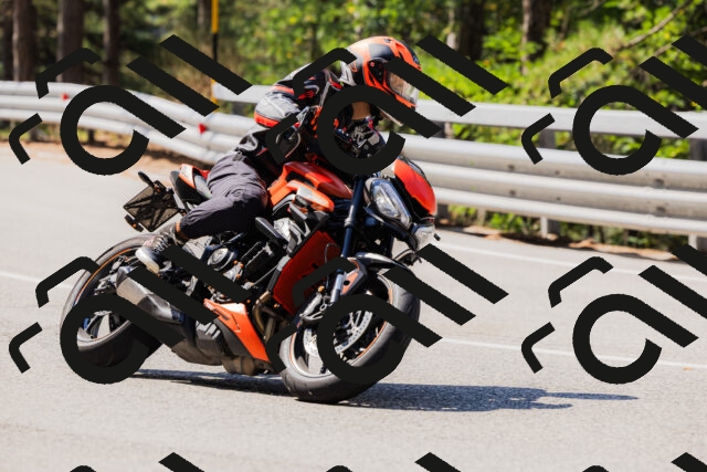 202508171102-_04A2403_c3