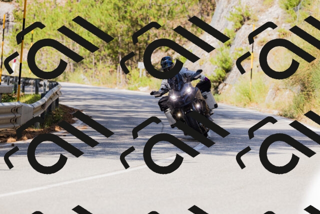 202508171104-_04A2422_c3