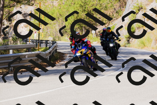 202508171105-_04A2426_c3