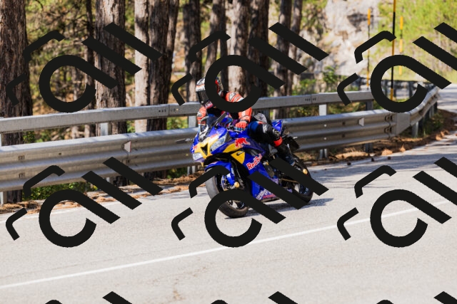 202508171105-_04A2428_c3