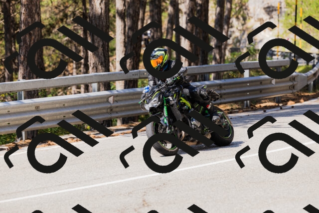 202508171105-_04A2429_c3