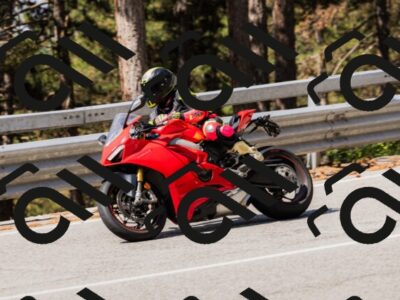 202508171105-_04A2431_c3