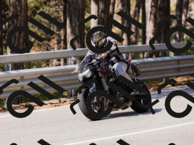 202508171105-_04A2436_c3