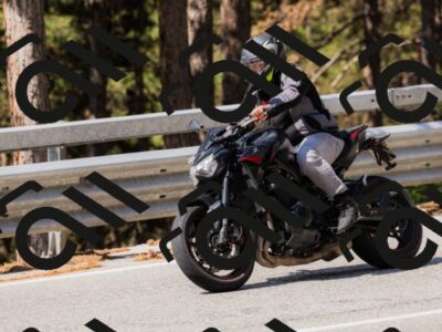 202508171105-_04A2437_c3