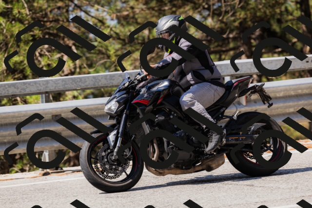 202508171105-_04A2438_c3