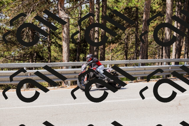 202508171105-_04A2445_c3