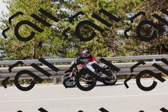 202508171105-_04A2446_c3