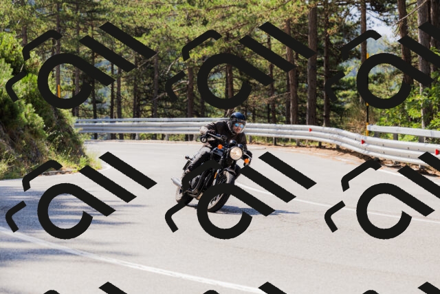 202508171105-_04A2447_c3