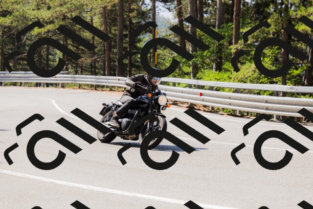 202508171105-_04A2448_c3