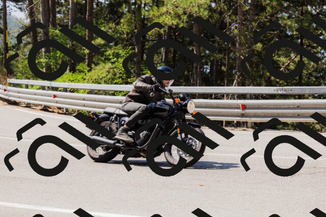 202508171105-_04A2449_c3