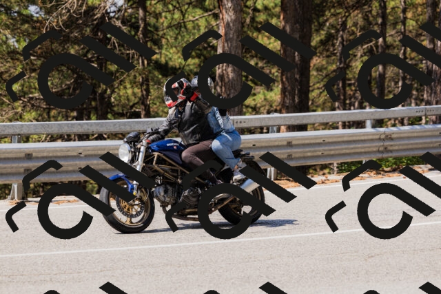 202508171129-_04A2771_c3