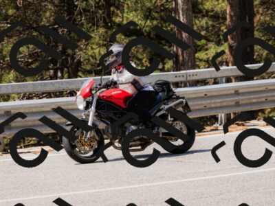 202508171150-_04A3041_c3