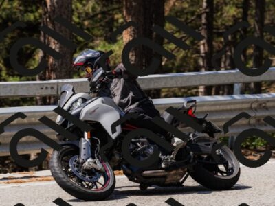 202508171200-_04A3109_c3