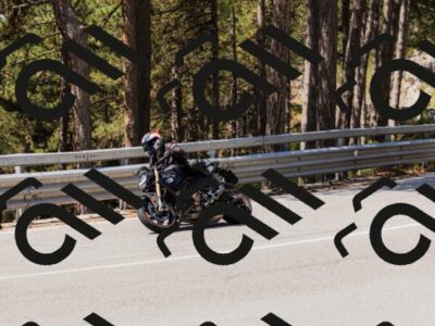 202508171201-_04A3120_c3