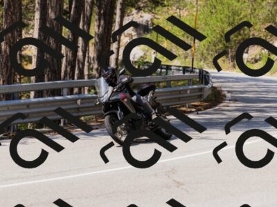 202508171201-_04A3124_c3