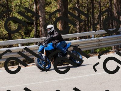 202508171203-_04A3134_c3