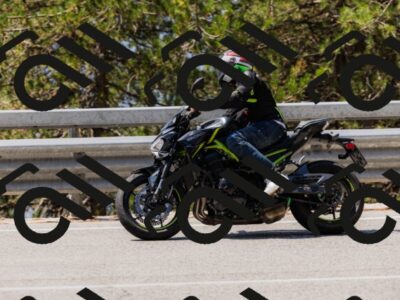 202508171205-_04A3157_c3