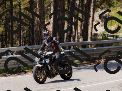 202508171205-_04A3159_c3