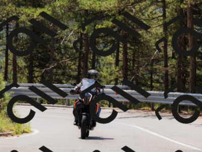 202508171206-_04A3177_c3