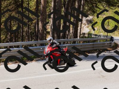 202508171217-_04A3304_c3