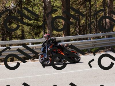 202508171217-_04A3308_c3