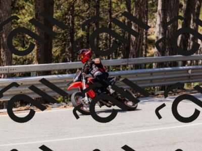 202508171221-_04A3351_c3