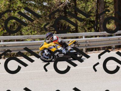 202508171225-_04A3437_c3