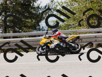 202508171225-_04A3438_c3