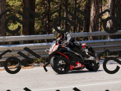 202508171228-_04A3445_c3