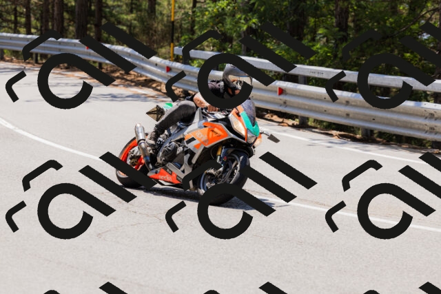 202508171230-_04A3461_c3