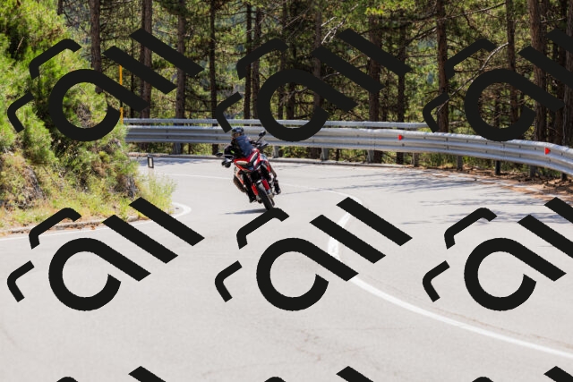 202508171231-_04A3473_c3