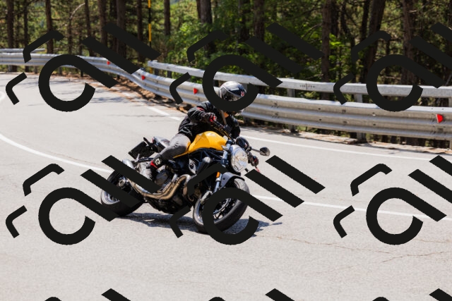 202508171231-_04A3486_c3