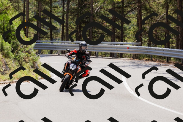 202508171232-_04A3491_c3