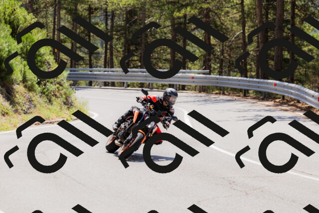 202508171232-_04A3492_c3