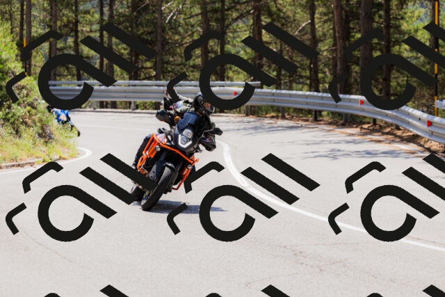 202508171232-_04A3500_c3