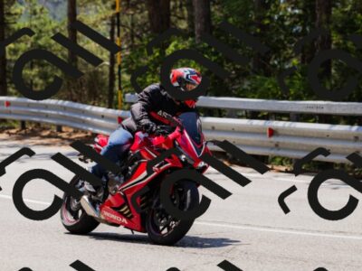 202508171233-_04A3513_c3