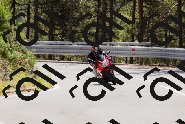 202508171234-_04A3523_c3