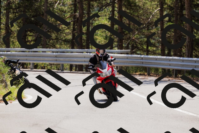 202508171235-_04A3525_c3