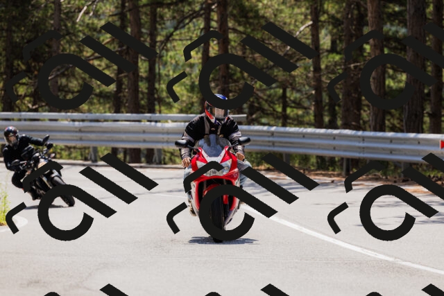 202508171235-_04A3526_c3