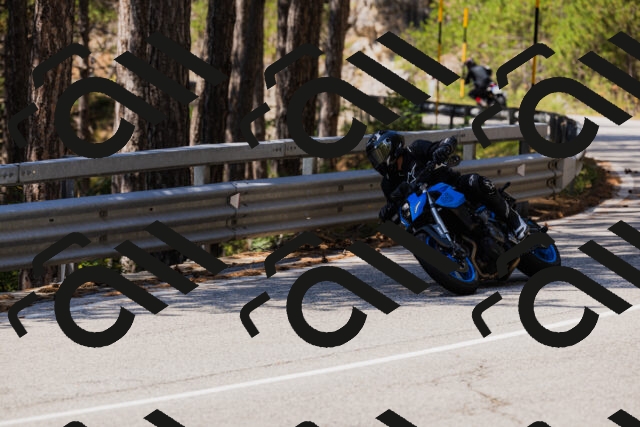 202508171235-_04A3539_c3