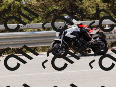 202508171235-_04A3556_c3