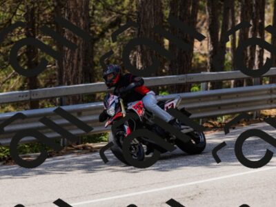 202508171303-_04A3801_c3