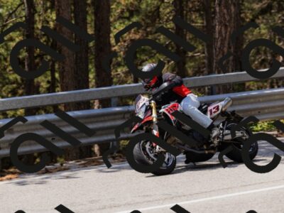 202508171303-_04A3802_c3