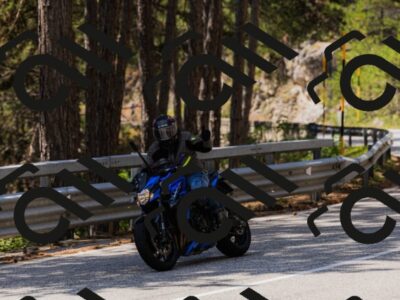 202508171303-_04A3804_c3