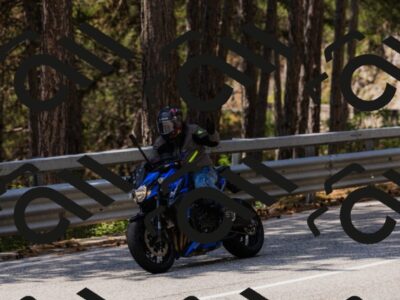 202508171303-_04A3805_c3