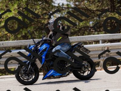 202508171303-_04A3808_c3